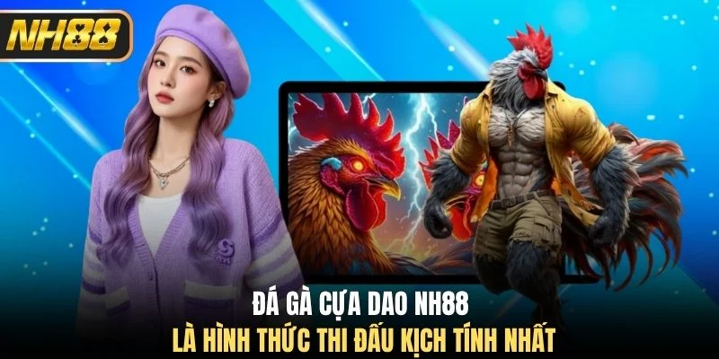 Đá gà cựa dao NH88 là hình thức thi đấu kịch tính nhất