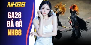 GA28 Đá Gà NH88 - Đấu Trường Phát Sóng 150+ Trận Mỗi Giờ