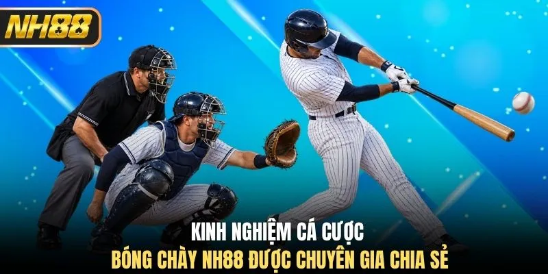Kinh nghiệm cá cược bóng chày NH88 được chuyên gia chia sẻ