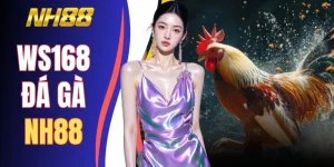 WS168 Đá Gà NH88 - 69+ Trận Siêu Kinh Điển Mỗi Ngày