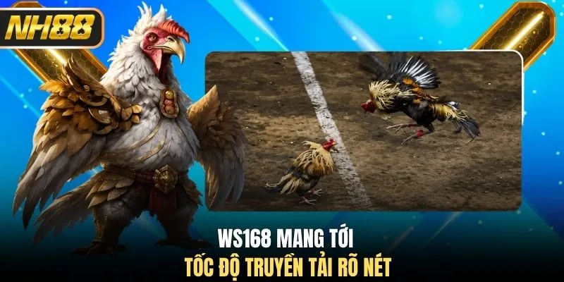 WS168 mang tới tốc độ truyền tải rõ nét