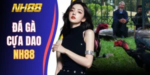 Xem Đá Gà Cựa Dao NH88 Phát Sóng Full HD 200+ Trận/Ngày